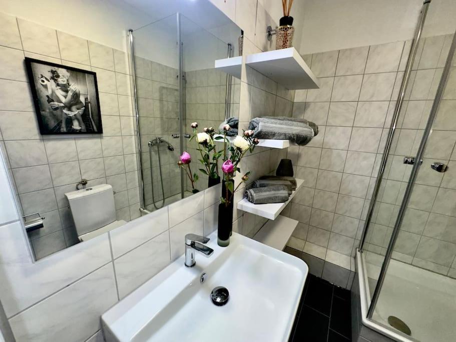 Schönster Rheinblick Messe Parken Luxus 10 Person Apartment